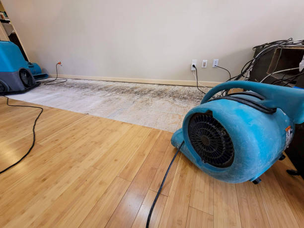 Professional Sewage Cleanup technician working in Whittier, CA
